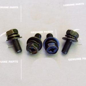 Datsun 240z, 260z, 280z Tailgate/Hatch Stopper Bolts Set *NOS*