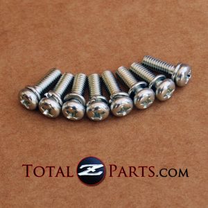 Datsun 240z Quarter Side Window Frame Screws Set *NOS*