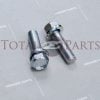 Datsun 240Z-280ZX, 510, 610 Water Thermostat Outlet Housing Bolts *NOS, OEM*