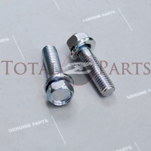 Datsun 240Z-280ZX, 510, 610 Water Thermostat Outlet Housing Bolts *NOS, OEM*
