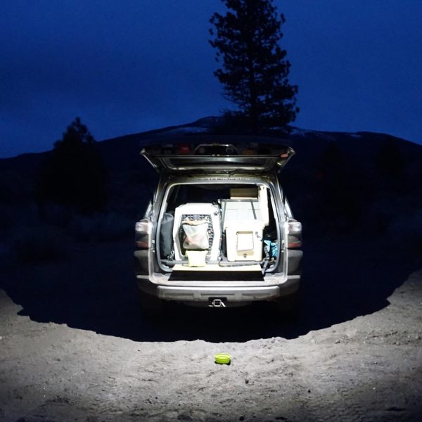 TotalZParts_Baja-Designs-Rock-Light-LED-Clear-White_398051-installed