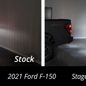 Diode Dynamics® Stage Series 2" Pro Reverse SSC2 Light Kit (21-23 Ford F-150)