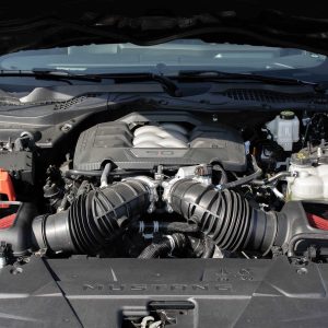 Roush Performance® Dual Cold Air Intake System (24-25 Mustang GT & Dark Horse 5.0 V8)